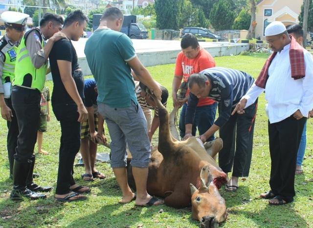 Idul Adha, Kapolres Simalungun Serahkan Hewan Qurban 