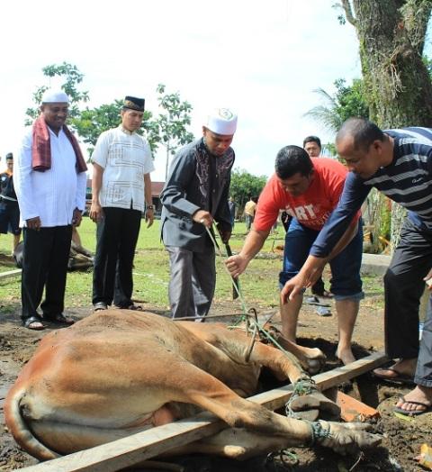 Sembelih 9 Ekor Sapi, Warga Grand Monaco Peduli Warga Sekitar