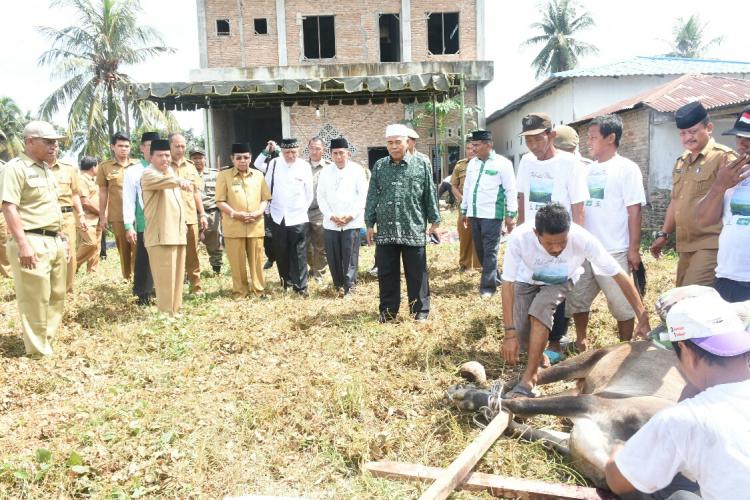 PC NU Deli Serdang Sembelih 12 Ekor Sapi dan 2 Kambing