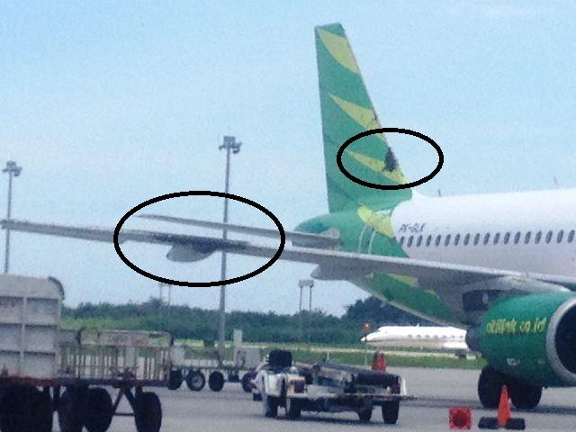 Parkir di Bandara Kualanamu, Sayap Pesawat Citilink Diserbu Ribuan Lebah