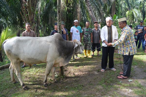 Pangkostrad Letjen TNI Edy Rahmayadi Bantu Hewan Qurban untuk Warga Korem 022/PT