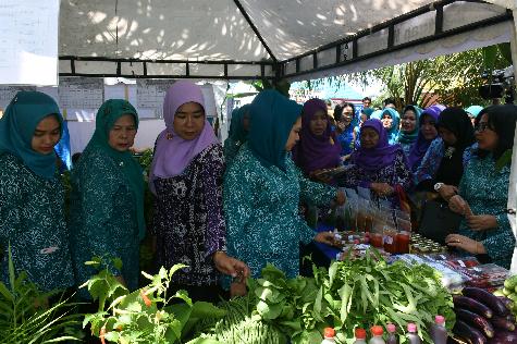 Tim Monitoring TP PKK Sumut Kunjungi Desa Timbang Deli