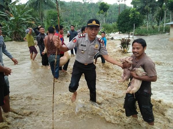 Kapolsek Bawolato Nias Bantu Evakuasi Warga yang Alami Musibah Banjir