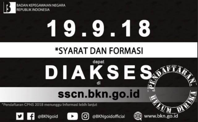 Besok Portal Penerimaan CPNS 2018 19 Siap Diakses, Pelamar Diminta Cermati Persyaratan