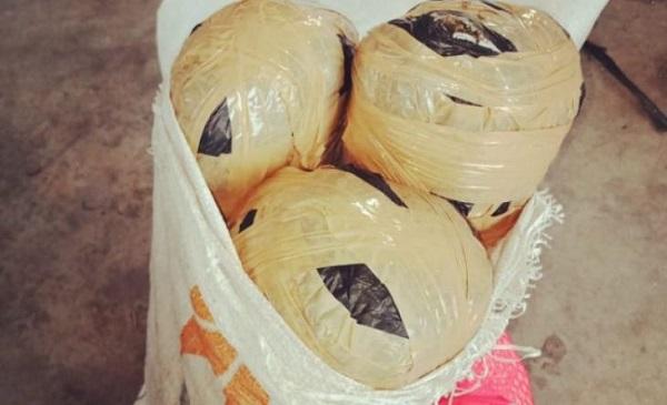 Dicampur Cempedak, Tiga Bal Ganja Diamankan Polsek Hinai Langkat dari Stasiun Bus AKAP