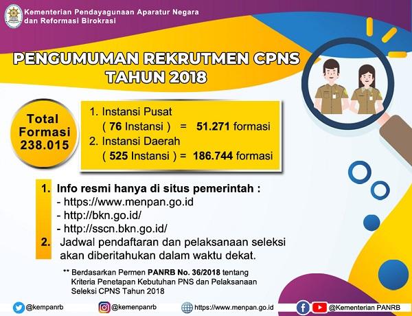 Pendaftaran September Ini, Pemerintah Buka Lowongan 238 Ribu Formasi CPNS