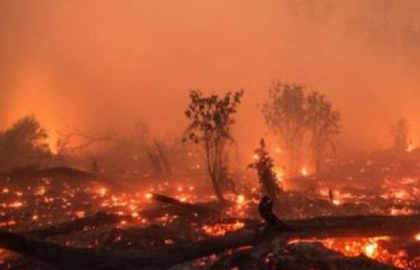 Padamkan Kebakaran Hutan di Sumatera, Pemerintah Kerahkan Puluhan Helikopter 