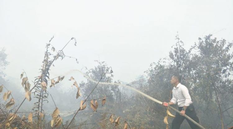 Kasubdit Tipiter Polda Sumut Bantu Padamkan Lahan Kebakaran Hutan di Labuhan Batu