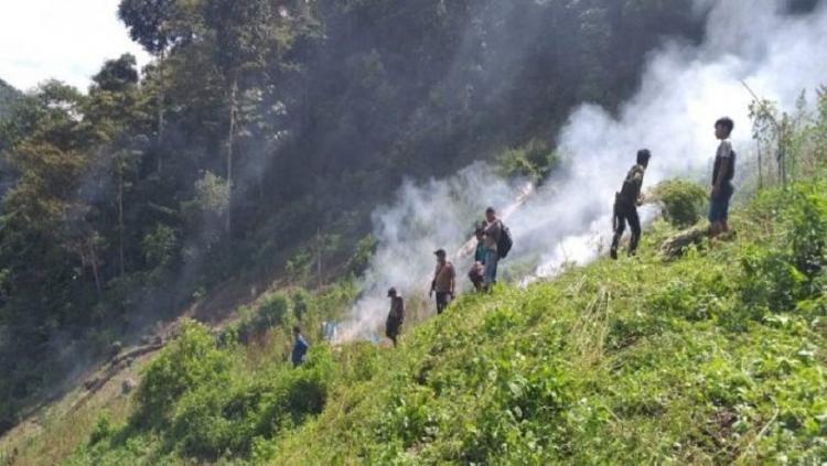 Polres Madina Bakar 5 Hektar Ladang Ganja di Penyabungan Timur