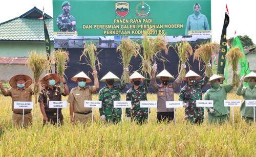 Plt Walikota Medan Apresiasi Panen Raya Padi dan Peresmian Galeri Pertanian Modern Perkotaan Kodim 0201/BS