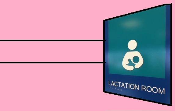 Bupati Langkat Himbau Penyediaan Ruang Menyusui di Semua Perkantoran