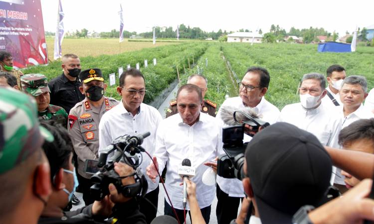Gubernur Edy Rahmayadi Sebut Produksi Cabai Sumut Surplus, Perlu Kendali Pemerintah untuk Jaga Inflasi