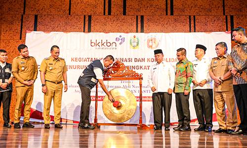 Ijeck Imbau Pemda Tingkatkan Serapan BOKB dan Arahkan Program Pembangunan ke Stunting