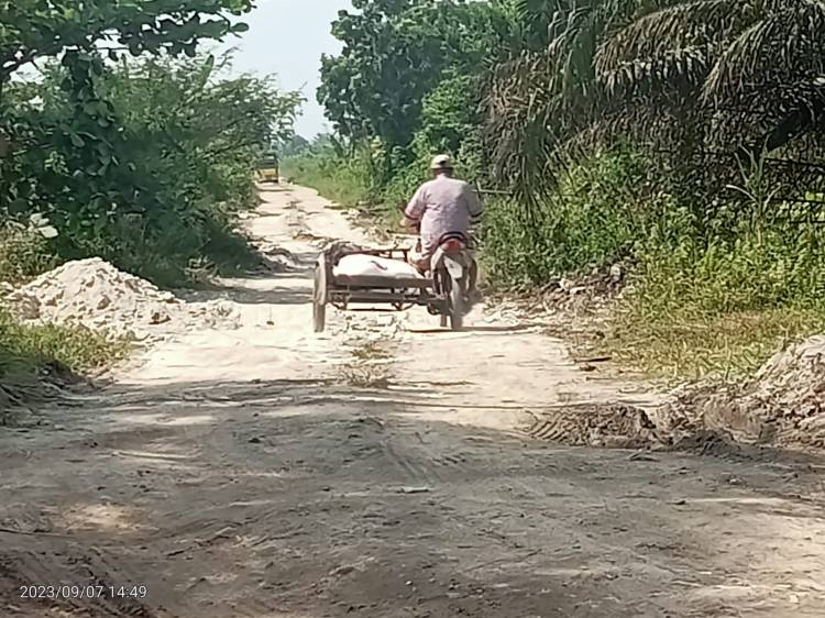 Lahan PTPN2 di Desa Amplas Berunbah Jadi Galian C Ilegal
