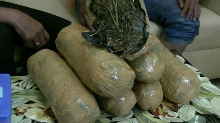 Razia Lalu Lintas Polres Langkat Amankan 40 Kg Ganja Dalam Bus