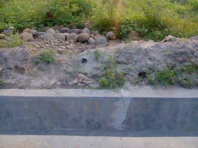 Gawat, Proyek Drainase di Merbau III Pakai Batu Koral Curian