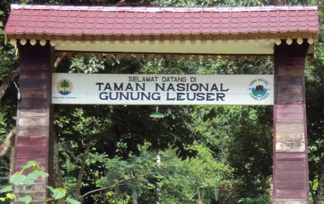 Koalisi Penyelamatan Taman Nasional Gunung Leuser Akan Surati Presiden