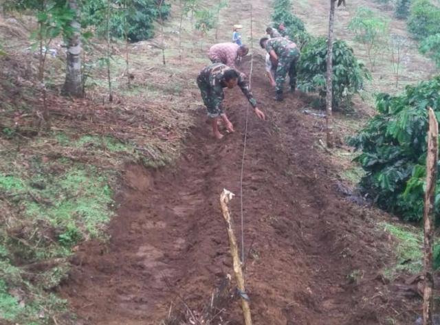 Babinsa Koramil 20/TK Bantu Petani Tanam Jagung