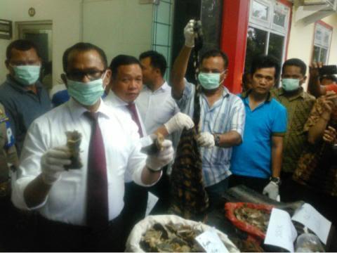 Polda Sumut Lakukan Pengembangan Terkait Perdagangan Tubuh Hewan Dilindungi