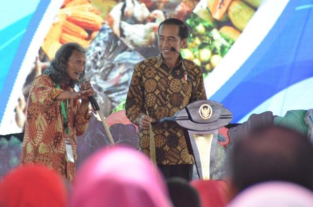Presiden Jokowi: Tidak Usah Seluruh Provinsi Tanam Jagung