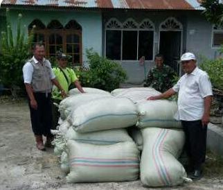 Babinsa Koramil 17/Kotarih Kawal Penyerahan Bibit Padi