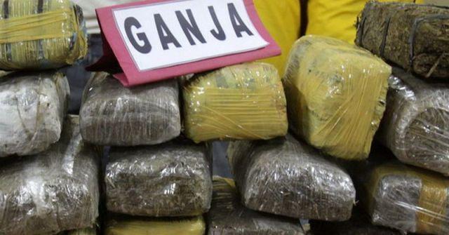 Bawa 18 Kg Ganja dari Aceh Tujuan Jatim, Eko Diringkus Polsek Pangkalan Brandan