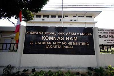 Calon Anggota Komnas HAM, Ahmad Taufan Damanik Lolos Seleksi DPR