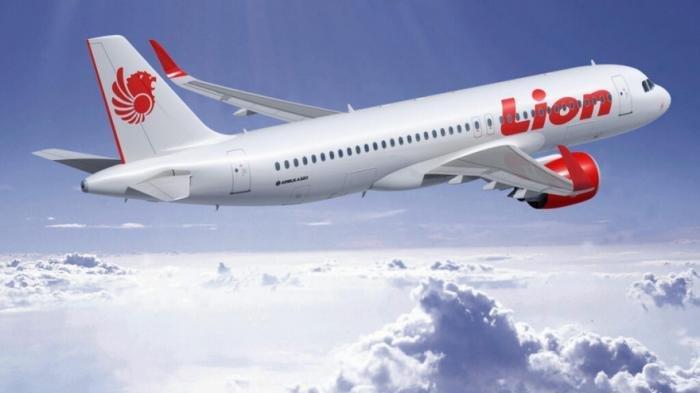 Direktur Teknik Dibebastugaskan, Menhub: Sanksi Lion Air Tunggu Penyelidikan KNKT