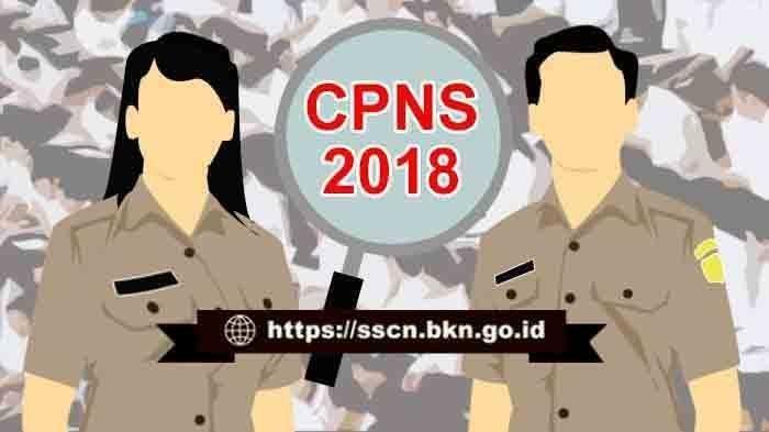 Jelang Penutupan, 3,4 Juta Pelamar Telah Pastikan Ikut Seleksi CPNS