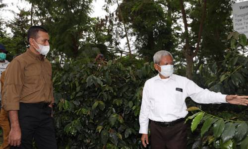 Wakil Gubernur Sumut Kunjungi FSC Indonesia Starbucks Berastagi, Apresiasi Perusahaan yang Peduli dan Sejahterakan Masyarakat