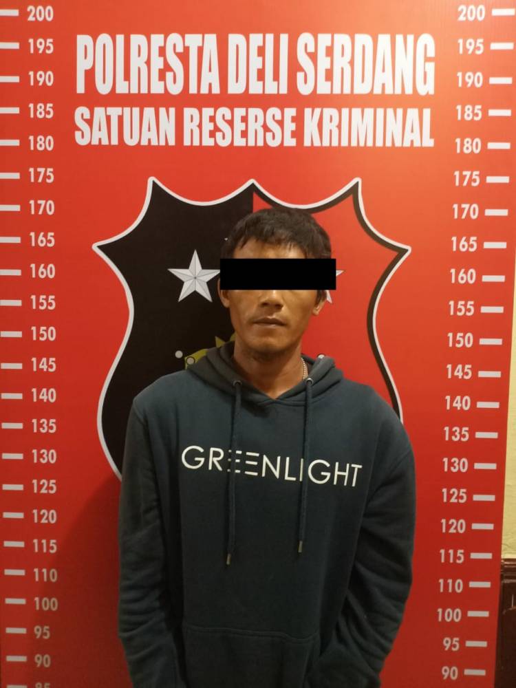 Curi Buah Kelapa Sawit, Pria Ini Diboyong ke Mapolresta Deli Serdang