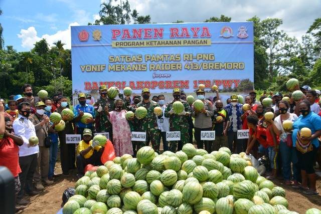 Perkuat Ketahanan Pangan, Prajurit TNI Panen Raya Bersama Masyarakat Papua di Jayapura