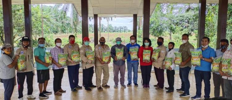 YBHI Bersama Universitas HKBP Nommensen Launching Benih Jagung dengan Harga Terjangkau
