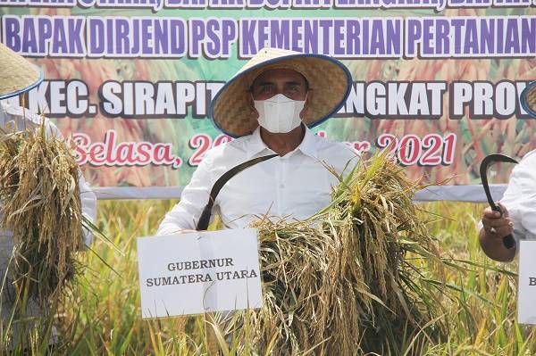 Panen Raya di Langkat, Gubernur Edy Rahmayadi Harapkan Peningkatan Produktivitas Padi