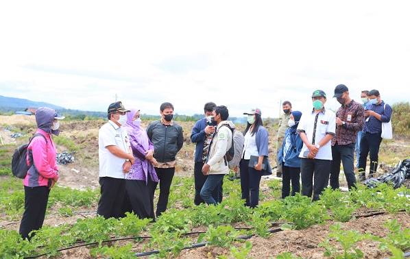Tim Sekretariat Kabinet RI Monitoring dan Tindak Lanjuti Arahan Presiden Terkait Food Estate di Humbahas