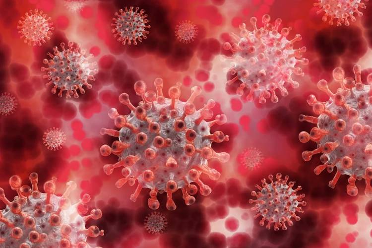 Kota Medan Kembali Masuk Zona Oranye Peta Risiko Covid-19