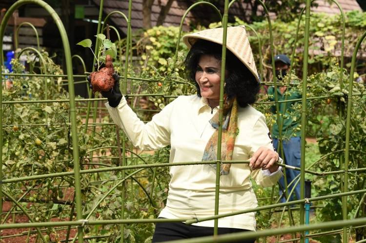Ketum Dharma Pertiwi Fun Bike dan Panen Raya di Pushidrosal Jakarta Utara