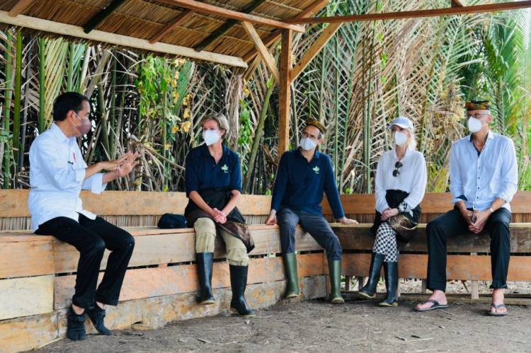 Kesan dan Apresiasi Para Dubes Ikut Tanam Mangrove Bersama Presiden