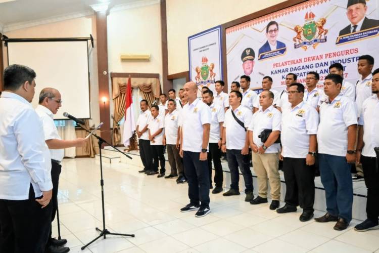 Ketua KADIN Langkat Terpilih Zulkifli Akan Membesarkan KADIN di Langkat