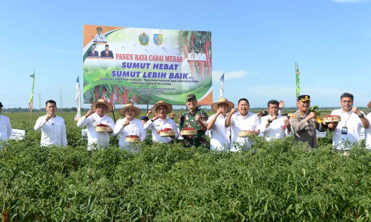 Panen Raya di Desa Lubuk Cuit, Pj Gubernur Sumut Dukung Pembangunan Rumah Produksi Pasta Cabai Merah