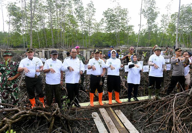 Pulihkan Hutan Mangrove, Pemprov Sumut Tanam 10.000 Bibit Mangrove
