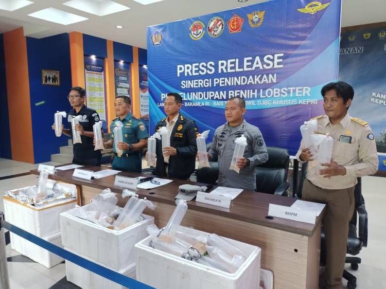 Bakamla RI Gagalkan Penyelundupan Benih Lobster Senilai 19 M ke Malaysia