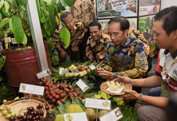Dominasi Pasar Dunia, Presiden Jokowi Minta Produksi Buah Lokal Dikelola Dengan Baik