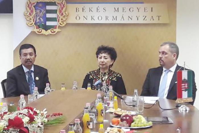Pemprov Sumut Lanjutkan Sister Province dengan Bekes Hungaria