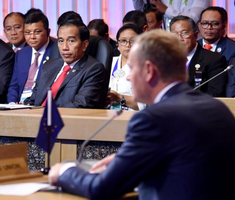 Presiden Jokowi Minta Diskriminasi Kelapa Sawit Dihentikan