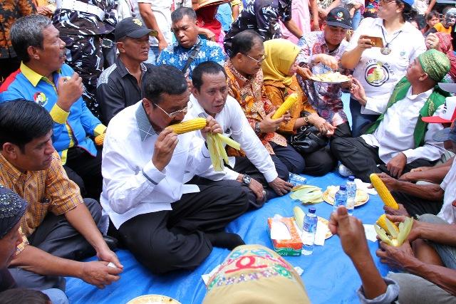Gubernur Panen dan Makan Jagung Bersama Petani di Binjai