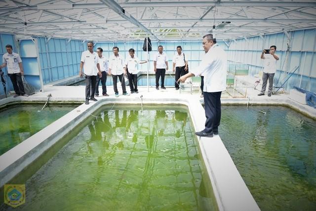 Bupati Pakpak Bharat Lakukan Peninjauan Balai Benih Ikan di Cikaok