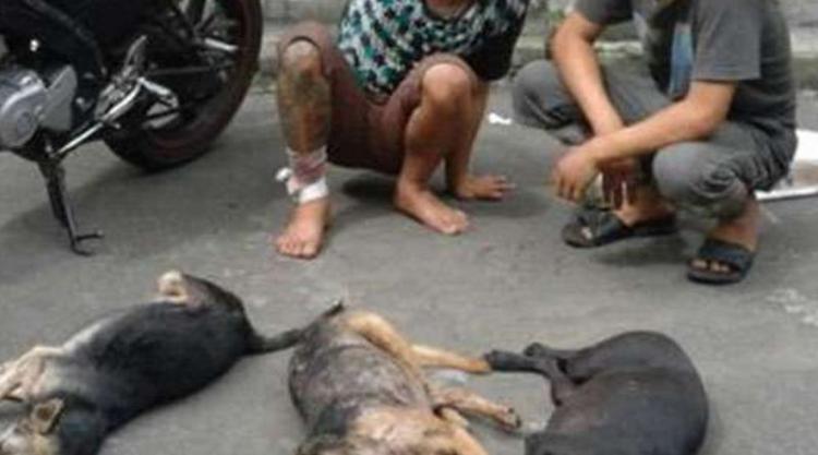 Puluhan Kali Curi Anjing, FD Diboyong Warga ke Polsek Pancurbatu