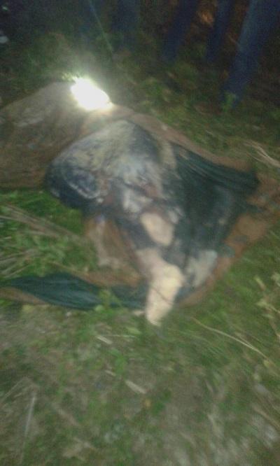 Warga Patumbak Dihebohkan dengan Penemuan Mayat Pria Bertato Terikat Tali dalam Sumur
