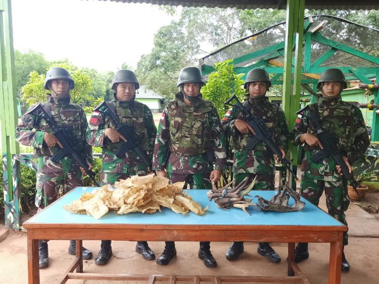 Satgas Pamtas RI-PNG Yonif 411 Kostrad Amankan Gelembung Ikan dan Tanduk Rusa Ilegal
